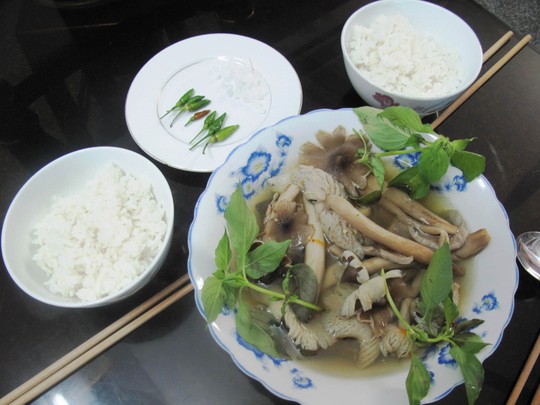 [-]Lủng[-]nồi[-]với[-]món[-]nấm[-]khoang